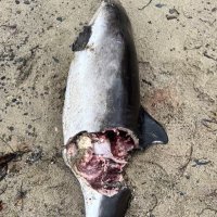 Lucas White (@lucasw12678) 's Twitter Profile