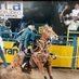 Justin Maass (@justinmaass) Twitter profile photo Justin Maass (@justinmaass) Twitter profile photo
