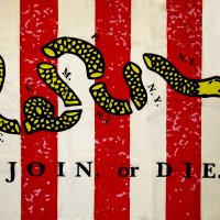 Son of Liberty (@norepnotax) 's Twitter Profile Photo
