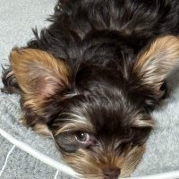 Mitchael Winsted (@mitchaelwinsted) 's Twitter Profile Photo Mitchael Winsted (@mitchaelwinsted) 's Twitter Profile Photo