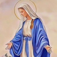 📈Alec_Baah (@ferro_attrition) 's Twitter Profile