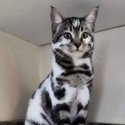 Ivan_7750's profile picture. 🔥 🥵 !
Web3 Enthusiast //

Self Awareness //

Family Oriented //

Economics //

Gooner