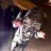 ๐ (@toxickeyxxx1) Twitter profile photo ๐ (@toxickeyxxx1) Twitter profile photo
