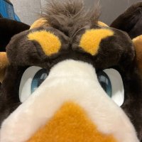 🐏 @devvie.me (@devvieram) 's Twitter Profile