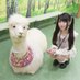 ち (@77_kisaki) Twitter profile photo