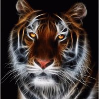 TigermanRoar (@tigermanroar) 's Twitter Profile