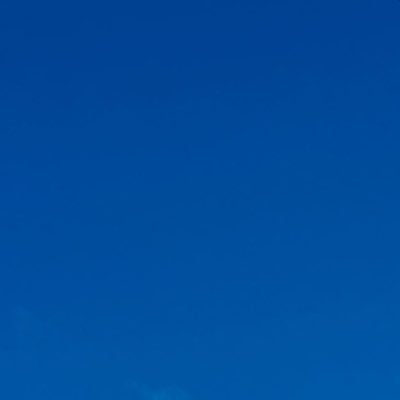 jung_gyeon's profile picture. 성인/ 좋아하는 것을 그리고 강아지와 살아가요.          잘 부탁드립니다🤍