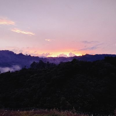 @shivaji31113601