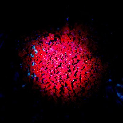 yinshushan96's profile picture. 