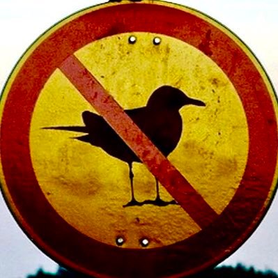 XFeedSeagulls's profile picture. If you didn’t earn it, you don’t deserve it.