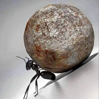 princeaghos's profile picture. A day beamed in God is less likely to unravel....