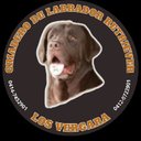 erasmo vergara - @erasmovergara - Twitter