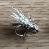 乾緑郎＠小説家 (@inuirokurou) 's Twitter Profile Photo