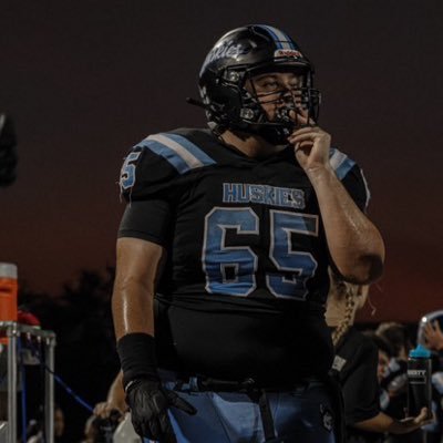 David Pollack Profile