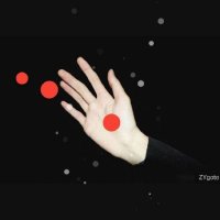 热狗特ZYgote (@king_zygote_) 's Twitter Profile Photo