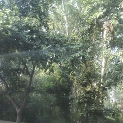 Rajeshkuma68181's profile picture. May Name Rajesh