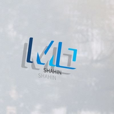 shahin2007001's profile picture. 