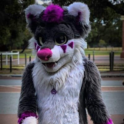 Jaro_Wolf_Fox's profile picture. Im a furry gamer~
AD- @TeasyJaroWolf