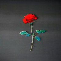 Happy-fi (@happy_fi) 's Twitter Profile Photo Happy-fi (@happy_fi) 's Twitter Profile Photo