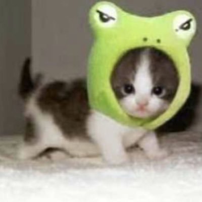 izukufication's profile picture. hi :D