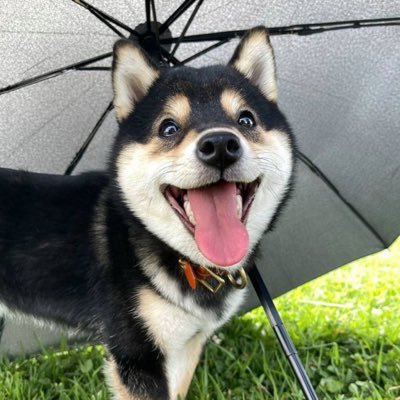 ctomanyu's profile picture. 