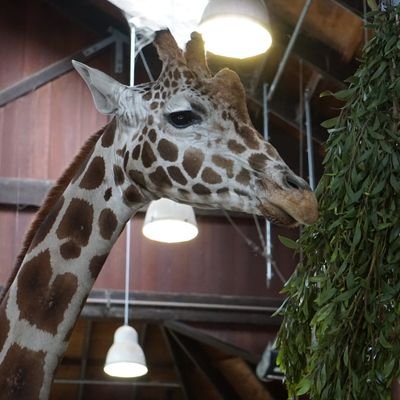 momoniphotos's profile picture. amateur nature photographer