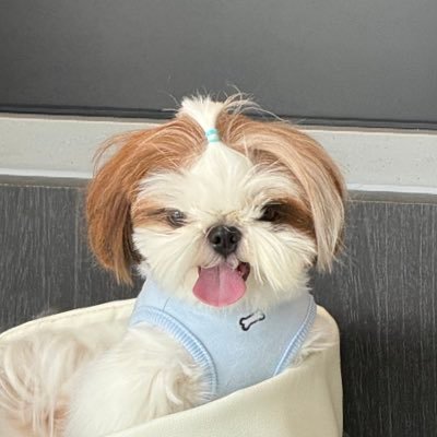 ouyanghua7's profile picture. lokaa