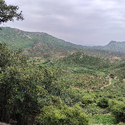 Rajesh_jjn's profile picture. Social thinker, against the corruption, Honesty is the best policy!