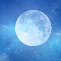 くのん鴎@野球 (@fethivmlhyl3) Twitter profile photo