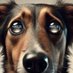 Sou Metis (@soumetis) Twitter profile photo Sou Metis (@soumetis) Twitter profile photo
