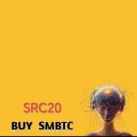 SRC20-SMbtc-jessica (@src20luffy60504) 's Twitter Profile