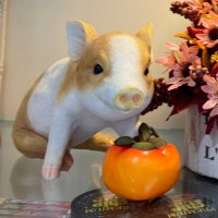 ぶーぷーぶー*🐷🧁✨ (@2525_boopuuboo) 's Twitter Profile