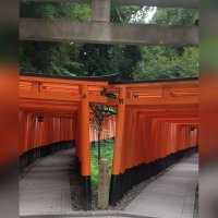 kota（まっちゃー）🍭 (@matcher36) 's Twitter Profile