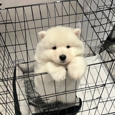 jjeongjayhyun's profile picture. 