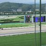 tto_kero's profile picture. 競馬と何気ない日々のつぶやき！