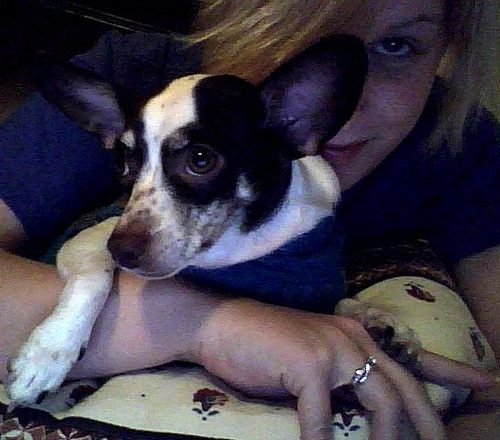 MissLorali's profile picture. 