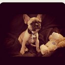 michelle weger - @MichelleWeger - Twitter