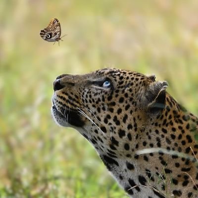 iranmehrm_76's profile picture. loading...