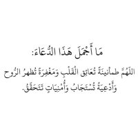 engyyahmedd (@engyyahmedd) 's Twitter Profile