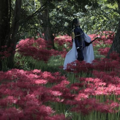 りっちゃん♀(ｺｽﾛｹｶﾒﾗﾏﾝ付きｽﾀｼﾞｵ立上中)さんのプロフィール画像