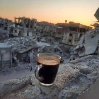 كريم شرف (@sharaf990h) 's Twitter Profile