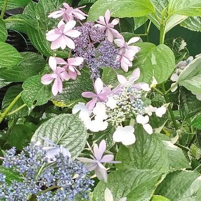 00Tsukuyomi's profile picture. Twitterは基本みる専門。成人済み。とうらぶ、うたプリ、テイルズ等ライトユーザーで遊んでます(^ω^)