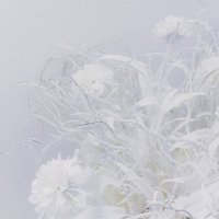 pyuaim_mm (@6fxltt8cra6880) 's Twitter Profile