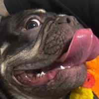 競艇予想 Ruby (@ruby812_0303) 's Twitter Profile