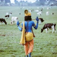 Mohini(Manu) (@mohinimanu) 's Twitter Profile