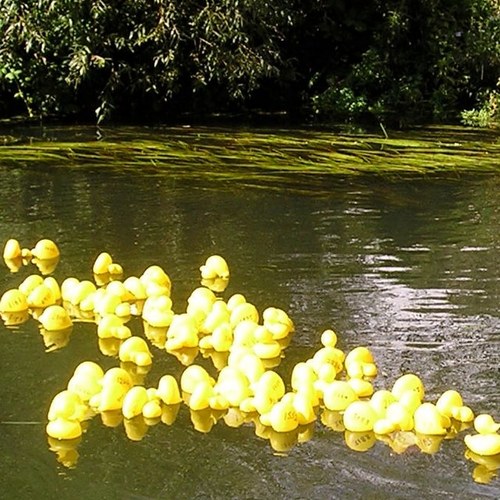 101sylviawong's profile picture. A java developer, a former semantic web and robotics researcher and an enthusiastic amateur cook.