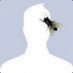 Lubomir (@lubojesensky) Twitter profile photo Lubomir (@lubojesensky) Twitter profile photo