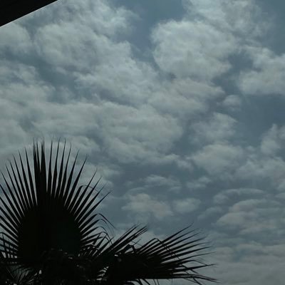 evxilj's profile picture. Stop looking back and look forward🌱