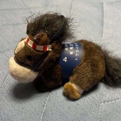 mgajwgdpw's profile picture. 高瀬くるみさん推し💚🐼テンションズ💚構成員🥺 ほのぴ🍀は恩人