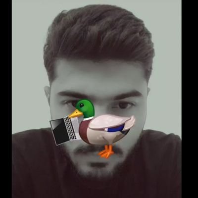MehranKarigar's profile picture. No One